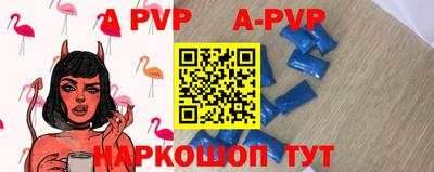 a pvp Гатчина