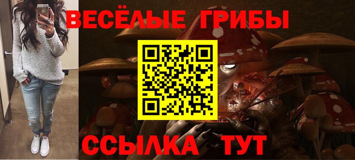 Муравленко  Галлюциногенные грибы MAGIC MUSHROOMS  Вход с VPN 