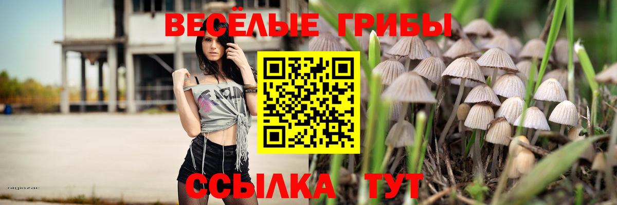 Псилоцибиновые грибы мухоморы Муравленко